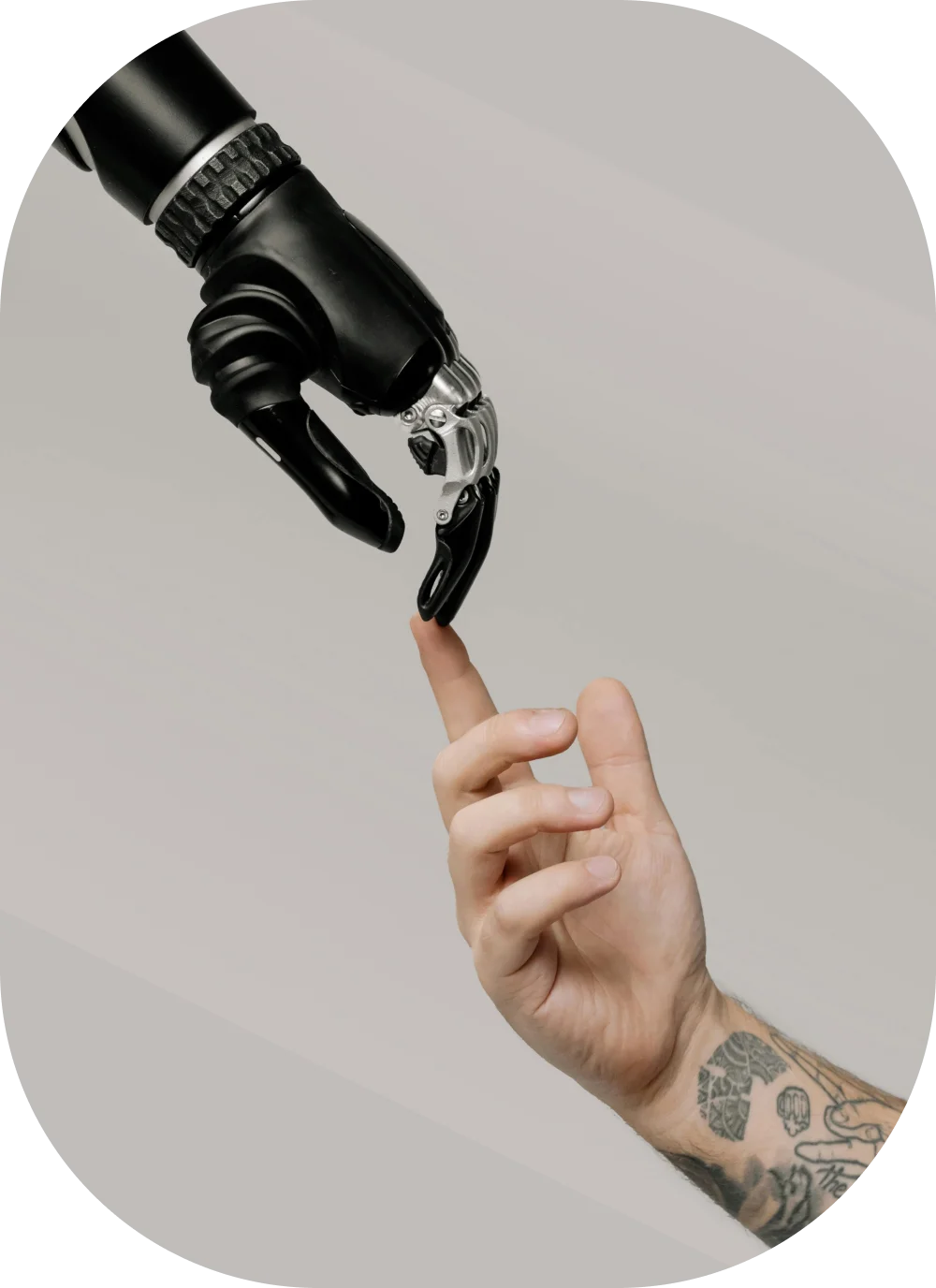 AI Crypto Trading Bot Development Company