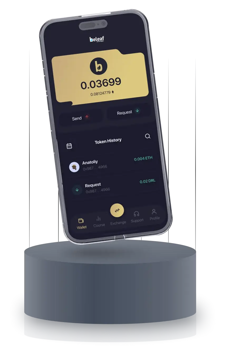 Custodial Wallet Development